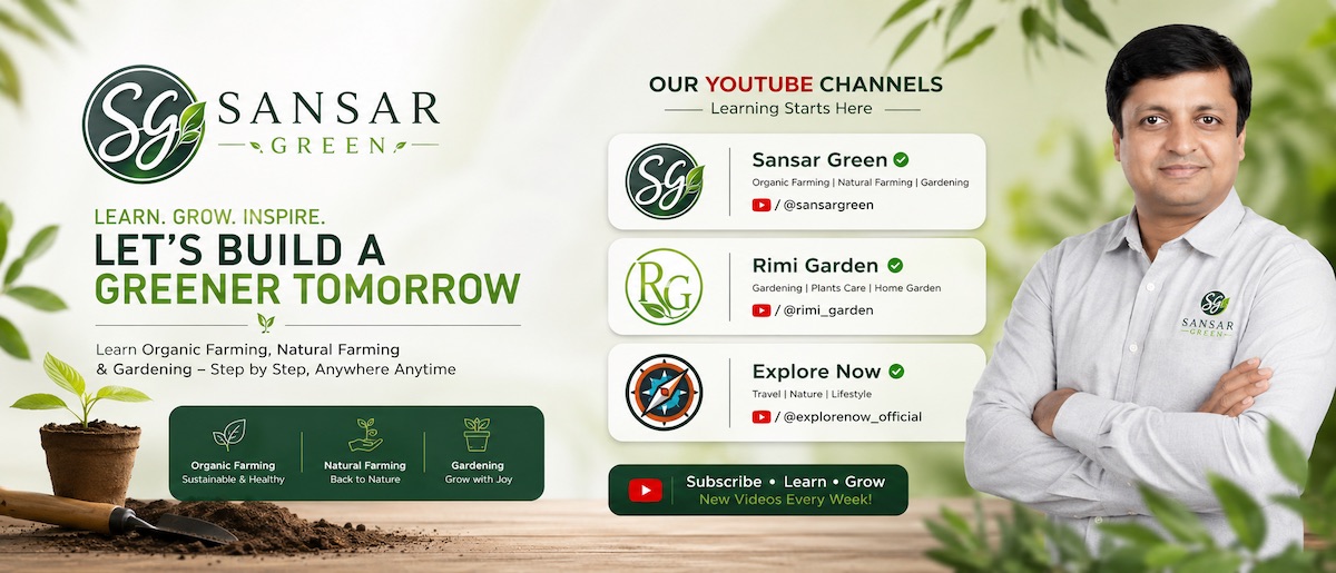 Rajeev Singh, Founder of Sansar Green, promotes online learning in organic farming, natural farming and gardening through the Sansar Green, Rimi Garden and Explore Now YouTube channels.
