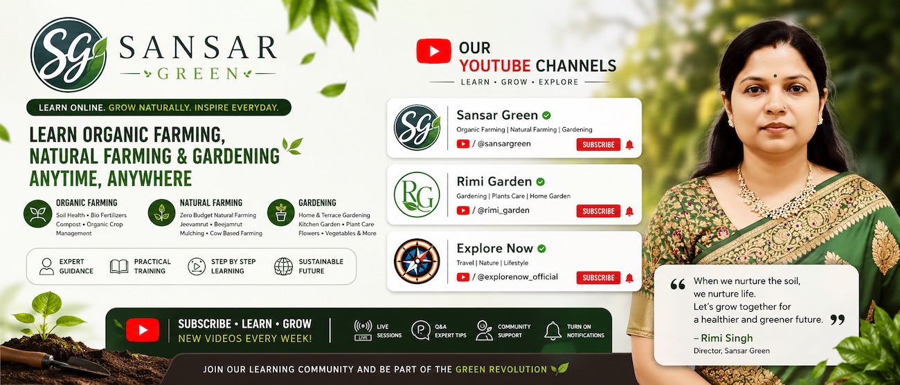 Rimi Singh, Director of Sansar Green, promotes online learning in organic farming, natural farming and gardening through the Sansar Green, Rimi Garden and Explore Now YouTube channels.