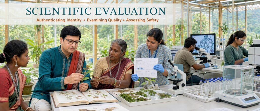 Scientific evaluation of Hodopathy traditional knowledge and medicinal plants from Jharkhand