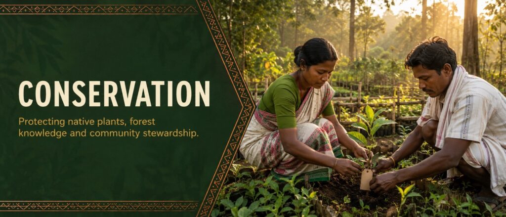 Adivasi community members engaging in community conservation by planting native saplings in a forest nursery in Jharkhand, supported by Rajeev Singh.